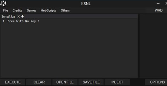 ROBLOX] HOW TO DOWNLOAD AND USE KRNL FOR BLOX FRUIT SCRIPT? (2022